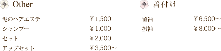 Other
泥のヘアエステ￥1,500
シャンプー￥1,000
セット￥2,000
アップセット￥3,500〜
着付け
留袖￥6,500〜
振袖￥8,000〜
